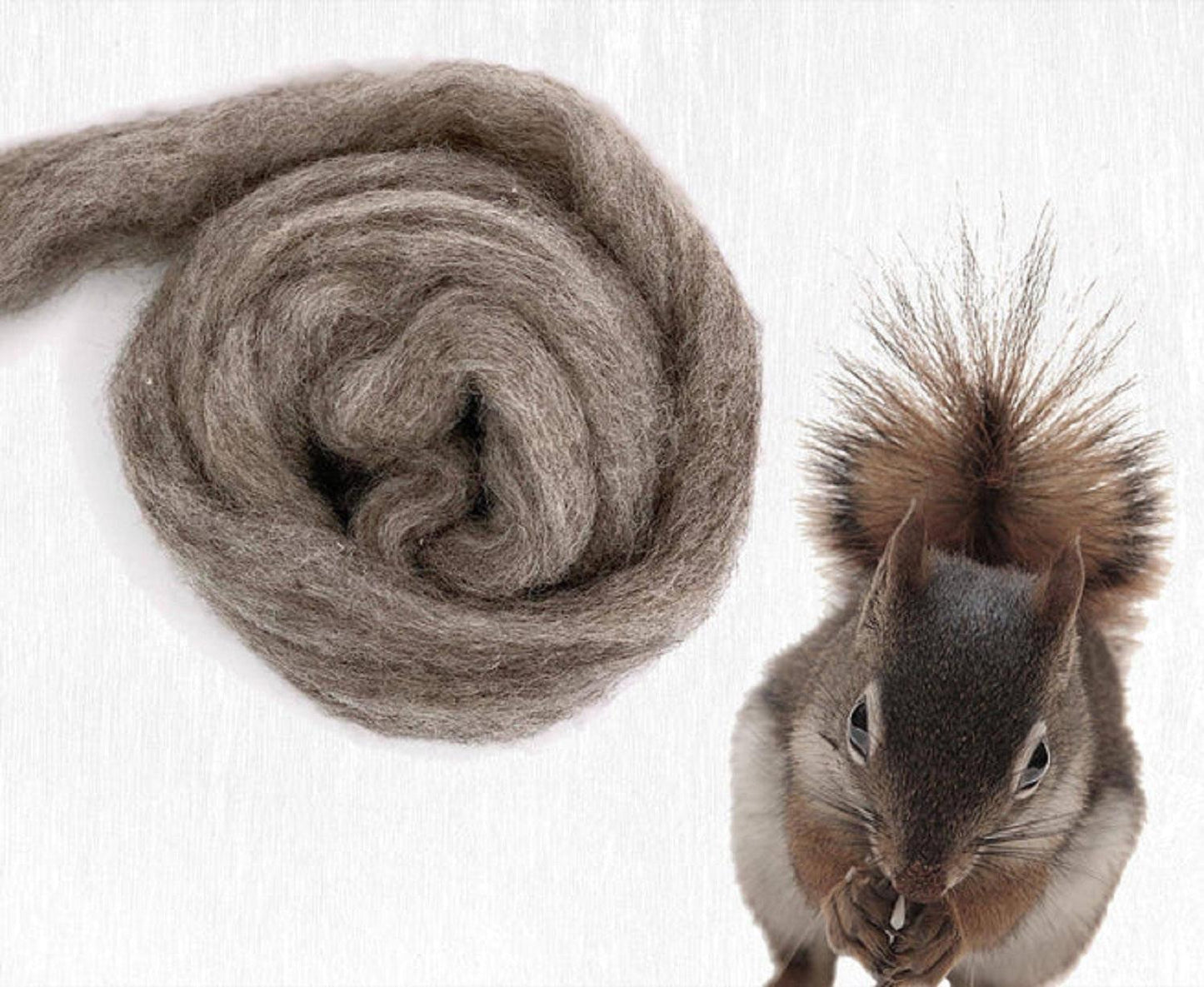 Furry Friends | Carded Corriedale Wool Sliver - Prismatic Fiber Arts