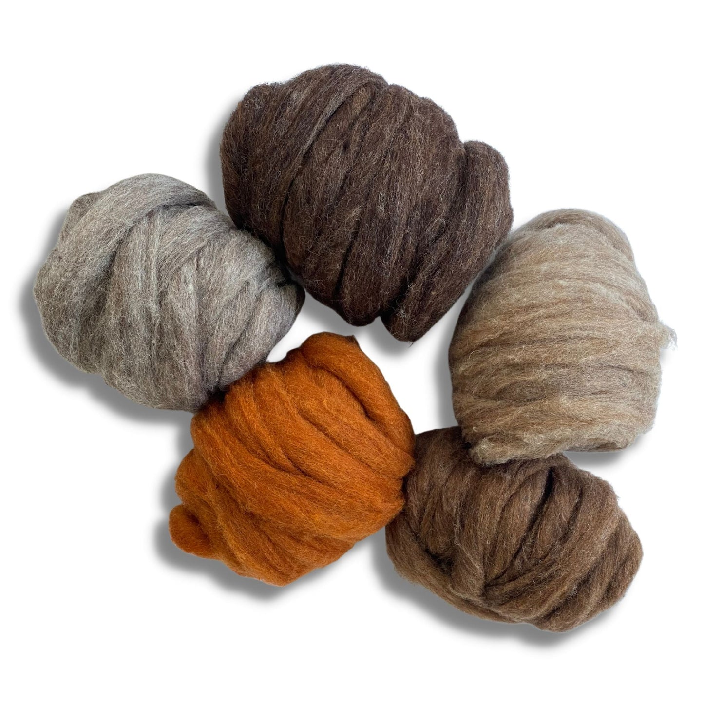 Furry Friends Variety Pack | Carded Corriedale Wool Sliver | 5 Colors - Prismatic Fiber Arts