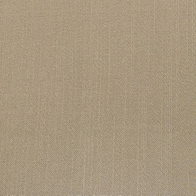 "Colorado Aspen" Fabric (Latte color) - CI-10035-28 - Prismatic Fiber Arts