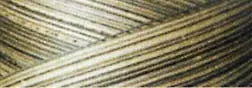 Cotton Quilting Thread 3-ply 40wt 3000yds Variegated Green House - Prismatic Fiber Arts