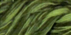 Cotton Quilting Thread Variegated 3000yd Olive Hues - Prismatic Fiber Arts