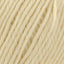 Deluxe Worsted Superwash Yarn
