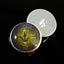 Dark Green Crocodile Gharial Sew-On Button Glass Eyes - Prismatic Fiber Arts