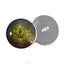 Dark Green Crocodile Gharial Sew-On Button Glass Eyes - Prismatic Fiber Arts