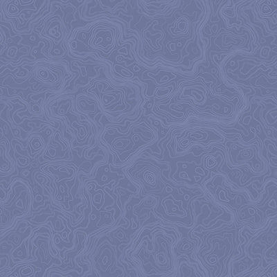 Denim Topography Map Path to Freedom Cotton 44"/45" Fabric Per Yard - Prismatic Fiber Arts
