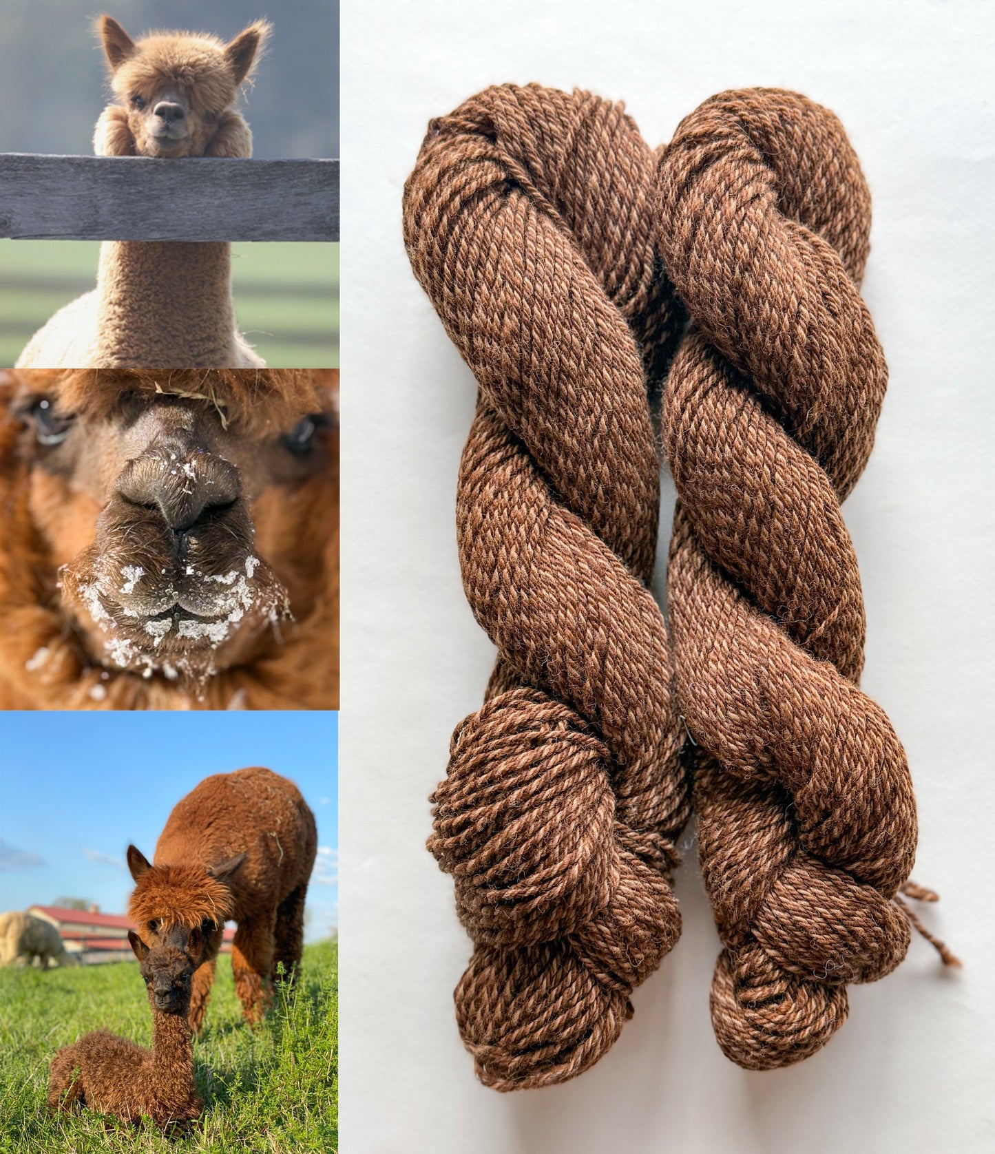 All Natural 3ply Farm Yarn - Prismatic Fiber Arts