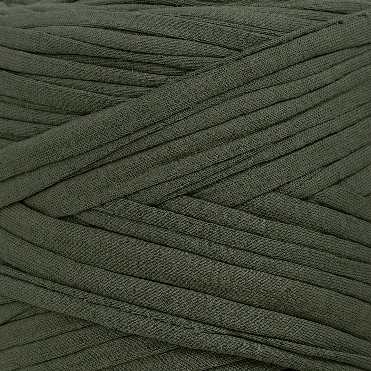 Recycled T-Shirt Fabric Yarn - Eucalyptus Color - Prismatic Fiber Arts