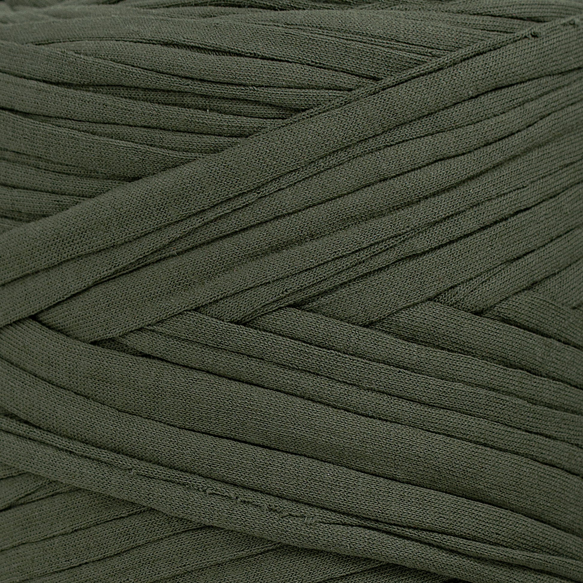 Recycled T-Shirt Fabric Yarn - Eucalyptus Color - Prismatic Fiber Arts