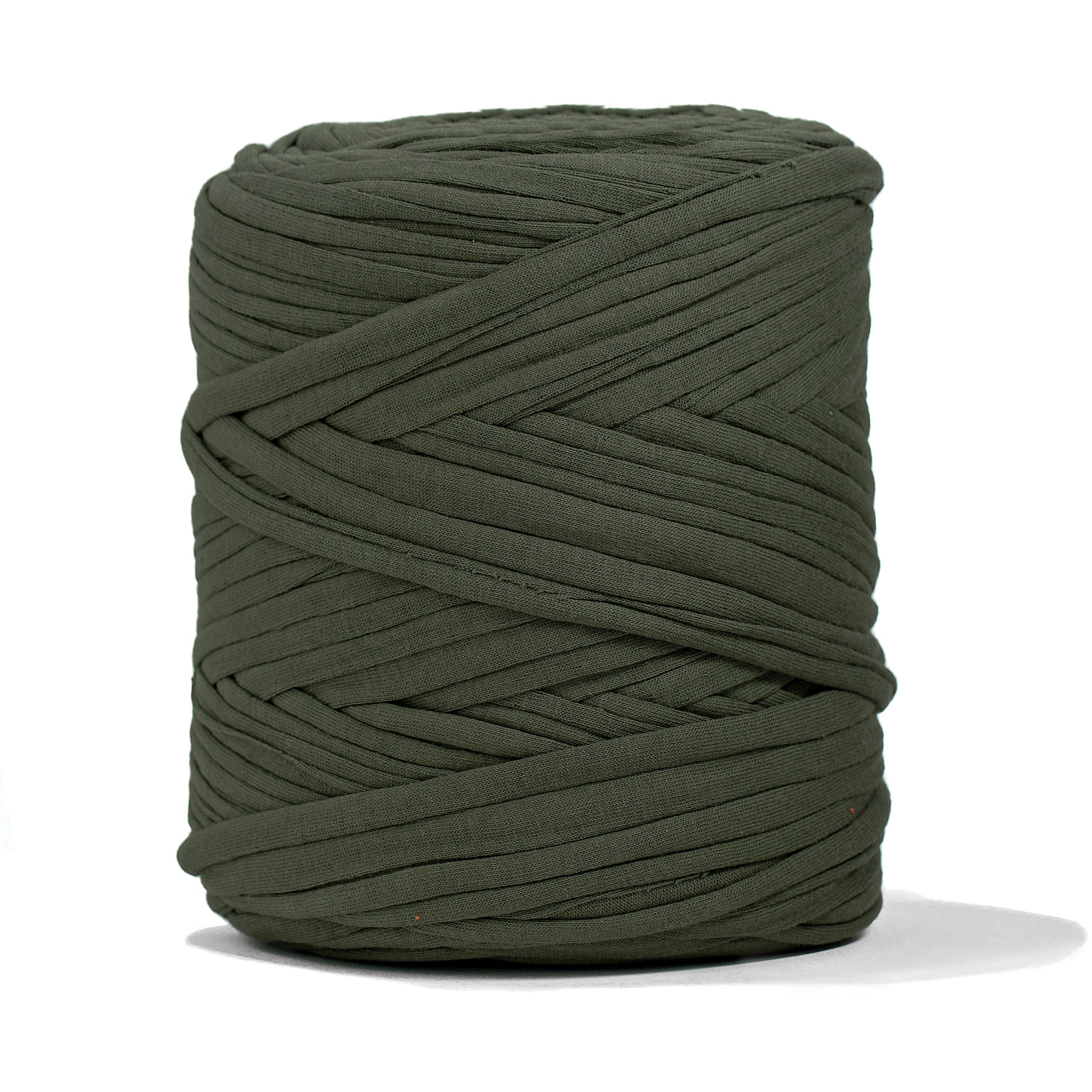 Recycled T-Shirt Fabric Yarn - Eucalyptus Color - Prismatic Fiber Arts