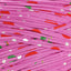 Printed Recycled T-Shirt Fabric Yarn - Festival - Prismatic Fiber Arts