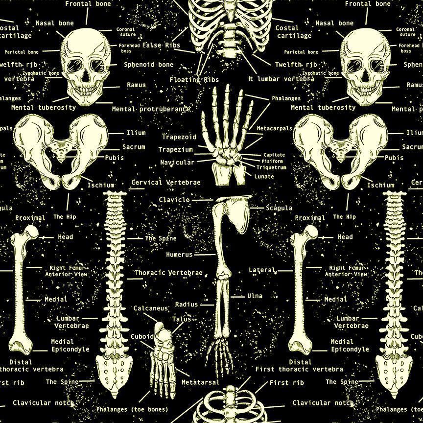 Black Glow in the Dark Skeletons Cotton 44"/45" Fabric Per Yard - Prismatic Fiber Arts