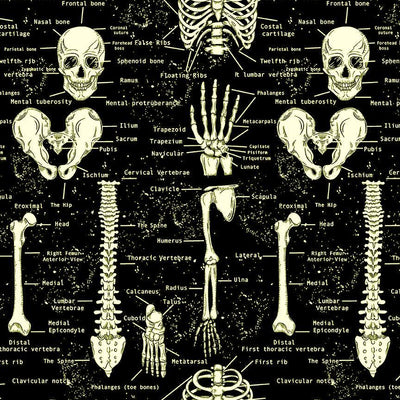 Black Glow in the Dark Skeletons Cotton 44"/45" Fabric Per Yard - Prismatic Fiber Arts