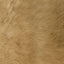 Solid Mink Faux Fur Fabric - Prismatic Fiber Arts