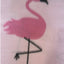 Pink Flamingo Print Anti-Pill Polar Fleece Fabric – 60 Inches Wide | Cozy & Fun | FabricLA - Prismatic Fiber Arts