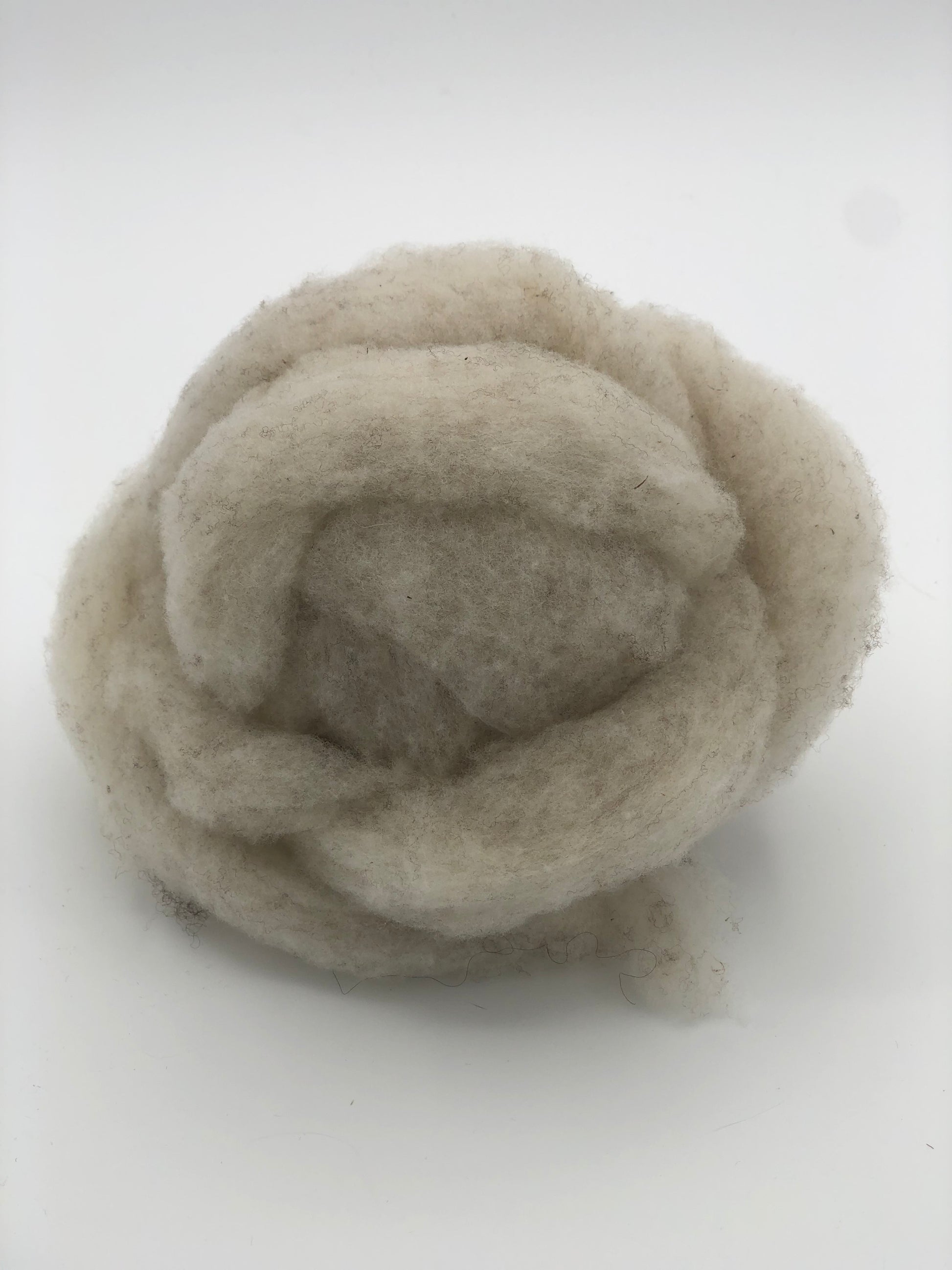 Southdown Babydoll: Cream - Prismatic Fiber Arts