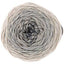 Ricorumi Spin Spin DK Yarn - Prismatic Fiber Arts