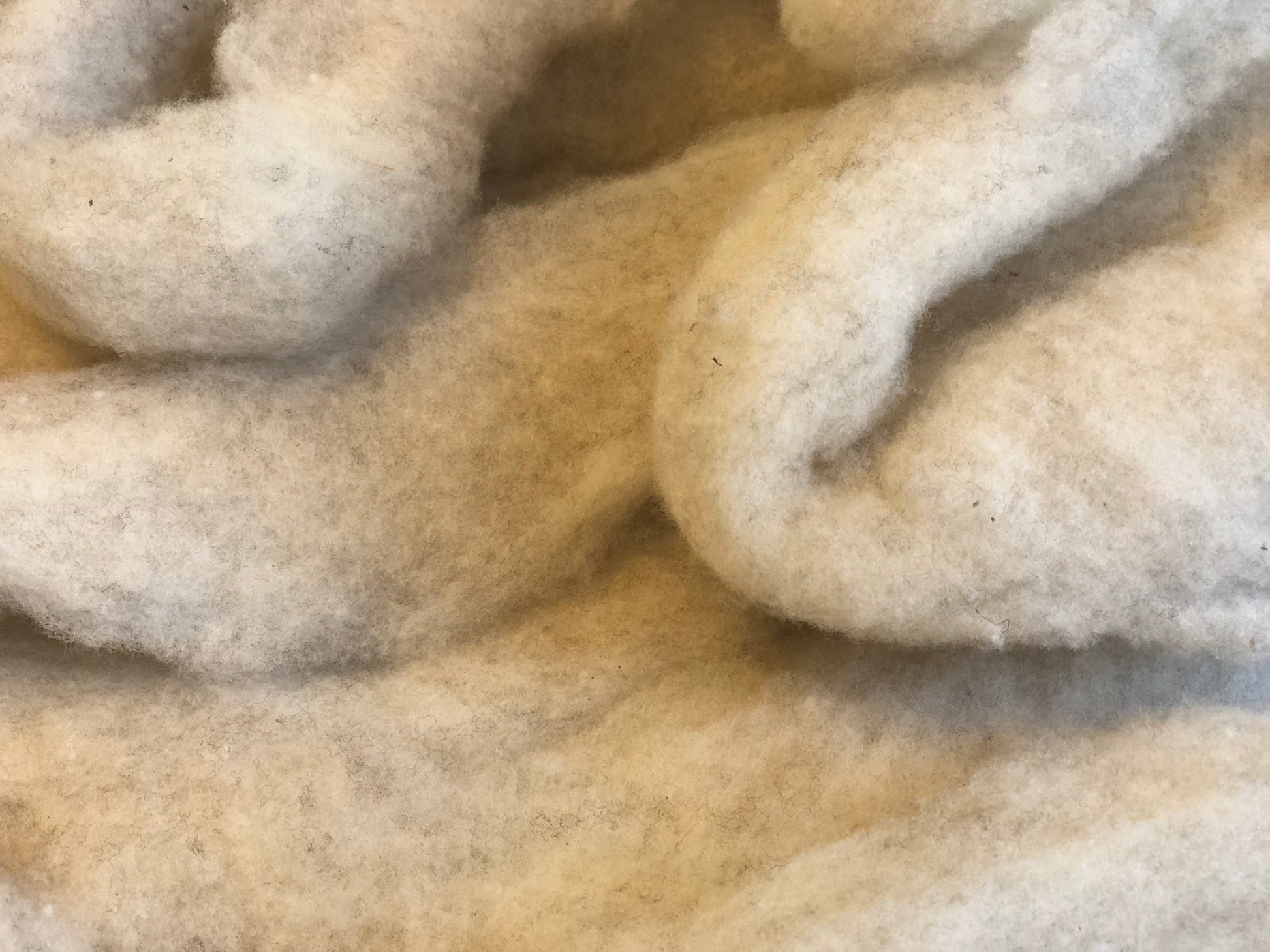 Southdown Babydoll: Cream - Prismatic Fiber Arts