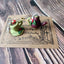 Haul out the Holly Sock Set - Prismatic Fiber Arts