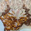 Lioness Stretch Sequins Fabric - Prismatic Fiber Arts