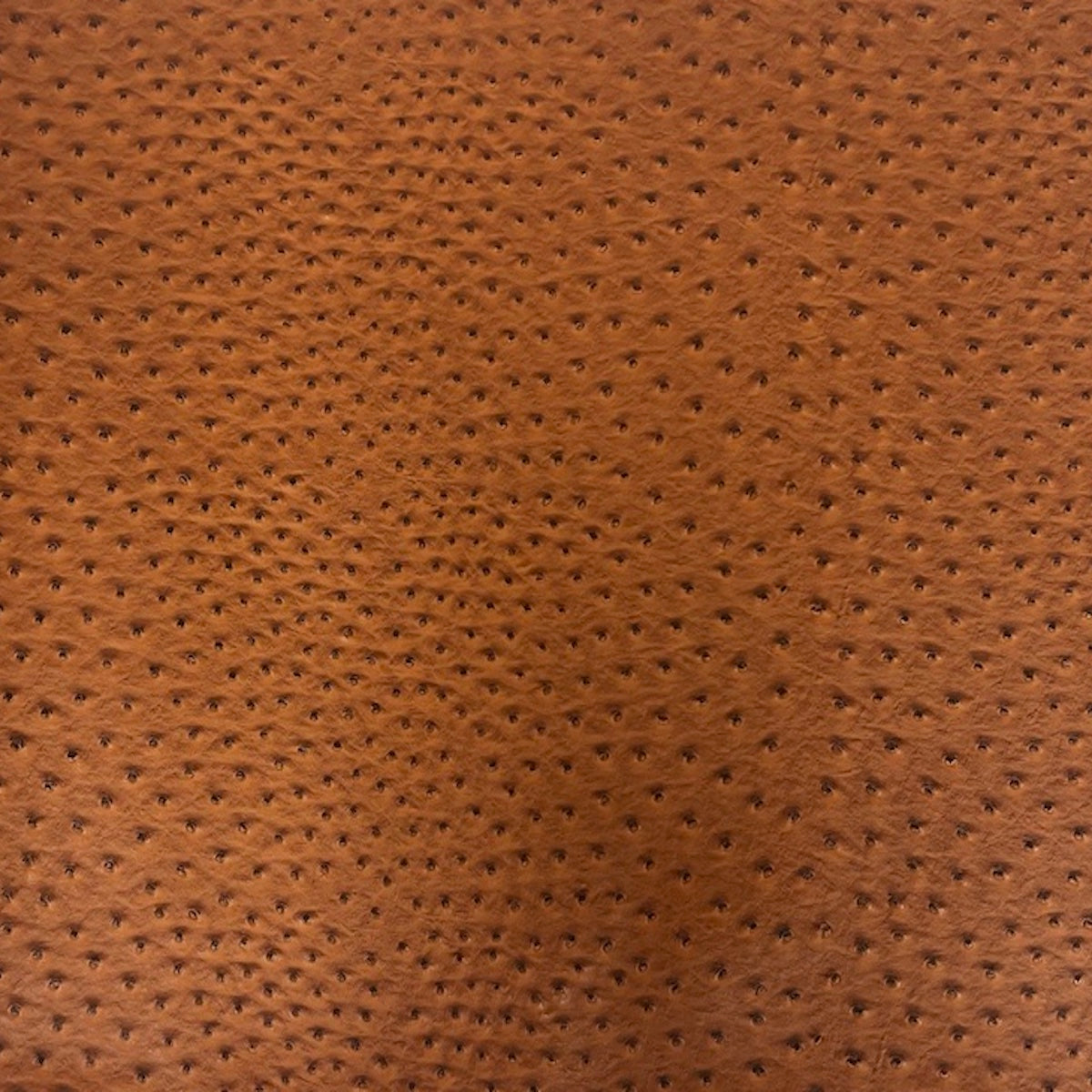 Saratoga Ostrich Faux Leather Vinyl Fabric - Prismatic Fiber Arts