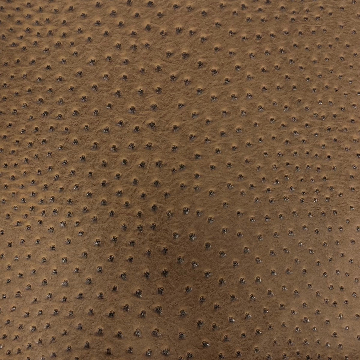 Saratoga Ostrich Faux Leather Vinyl Fabric - Prismatic Fiber Arts