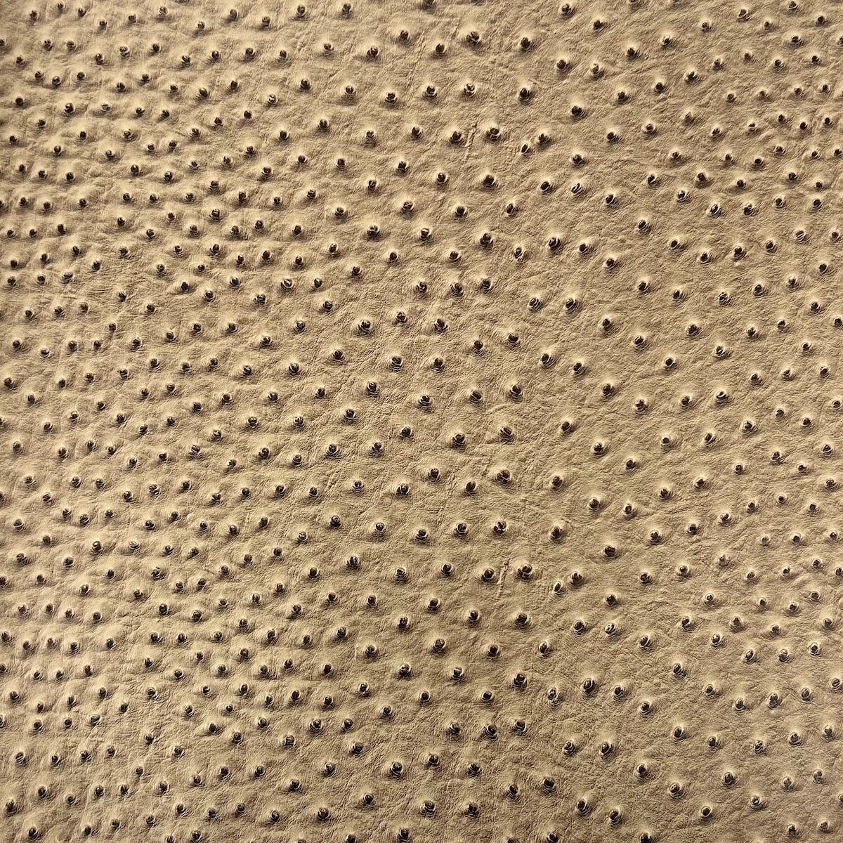 Saratoga Ostrich Faux Leather Vinyl Fabric - Prismatic Fiber Arts
