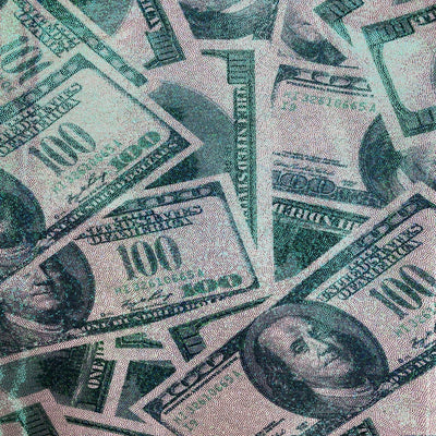 Hologram Mystique Money Print Spandex Fabric - Prismatic Fiber Arts