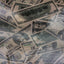 Hologram Mystique Money Print Spandex Fabric - Prismatic Fiber Arts