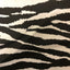 Zebra Print Poly Cotton Fabric - Prismatic Fiber Arts