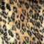 Leopard Print Faux Fur Fabric - Prismatic Fiber Arts