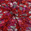 Giselle Multicolor Floral Stretch Sequins Fabric - Prismatic Fiber Arts