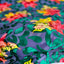 Bombay Multicolor Floral Burnout Stretch Velvet Fabric - Prismatic Fiber Arts