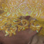 Catina Damask Stretch Sequins Fabric - Prismatic Fiber Arts
