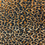 Leopard Print Stretch Velvet Fabric - Prismatic Fiber Arts