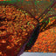 Iridescent All Over Sequins Fabric - Prismatic Fiber Arts
