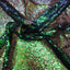 Iridescent All Over Sequins Fabric - Prismatic Fiber Arts
