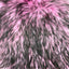 Husky Print Long Pile Shaggy Faux Fur Fabric - Prismatic Fiber Arts