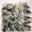 Husky Print Long Pile Shaggy Faux Fur Fabric - Prismatic Fiber Arts