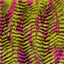 Porcupine Feather Faux Fur Fabric - Prismatic Fiber Arts