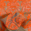 Catina Damask Stretch Sequins Fabric - Prismatic Fiber Arts