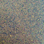 Sequins Embroidered Stretch Velvet Rodeo Fabric - Prismatic Fiber Arts