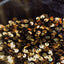 Sequins Embroidered Stretch Velvet Rodeo Fabric - Prismatic Fiber Arts