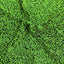 Sequins Embroidered Stretch Velvet Rodeo Fabric - Prismatic Fiber Arts