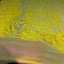 Luna Stretch Sequins Fabric - Prismatic Fiber Arts