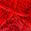 Two Tone Spike Shaggy Faux Fur Fabric - Prismatic Fiber Arts