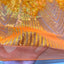 Flamingo Fringe Embroidered Stretch Sequin Fabric - Prismatic Fiber Arts