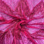 Flamingo Fringe Embroidered Stretch Sequin Fabric - Prismatic Fiber Arts