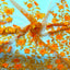 3D Embroidered Satin Floral Pearl Lace Fabric - Prismatic Fiber Arts
