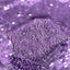 French Fringe Stretch Sequins Fabric - Prismatic Fiber Arts