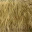 Wolf Faux Fur Fabric - Prismatic Fiber Arts